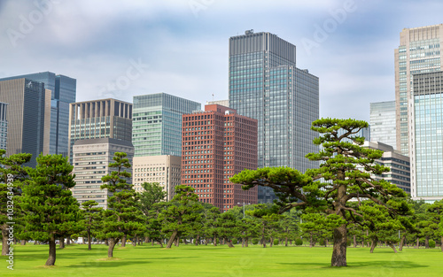 Photography Tokyo skyline of skyscrapers and beautiful parkland in the Marunouchi district