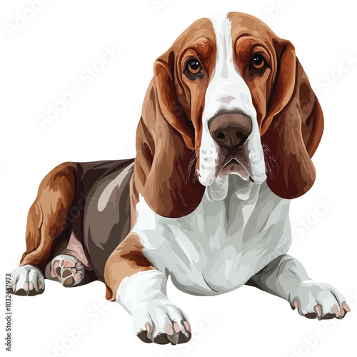 basset hound dog vector