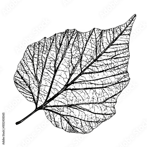 Leaf icon with veins in simple linear UI style