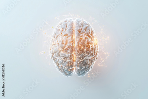 Human Brain Network: A 3D Illustration of Cognitive Function