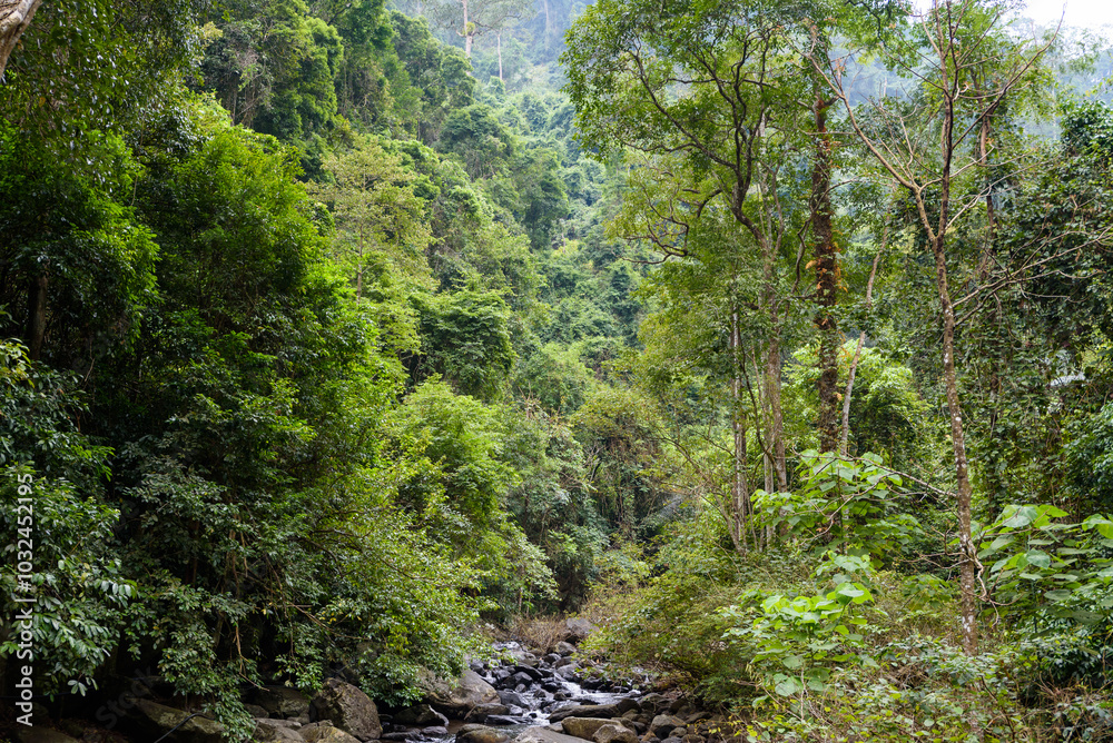 Pa La U Waterfall, the beautiful waterfall in deep forest at Kaeng Krachan National Park, Thailand. Pa La U Waterfall, the beautiful waterfall in deep forest at Kaeng Krachan National Park, Thailand.