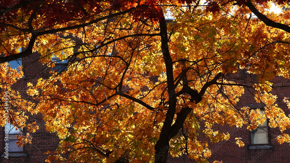 The beautiful Philadelphia city view in autumn The beautiful Philadelphia city view in autumn