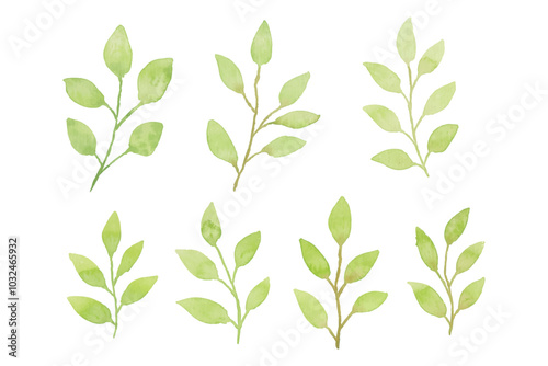 Assortment of watercolor leaves illustration set - green leaf branches collection for wedding, greetings, stationary, wallpapers, fashion, background. olive, green leaves, Eucalyptus etc
