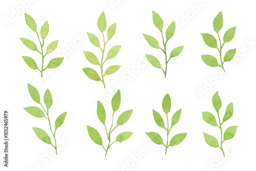 Assortment of watercolor leaves illustration set - green leaf branches collection for wedding, greetings, stationary, wallpapers, fashion, background. olive, green leaves, Eucalyptus etc