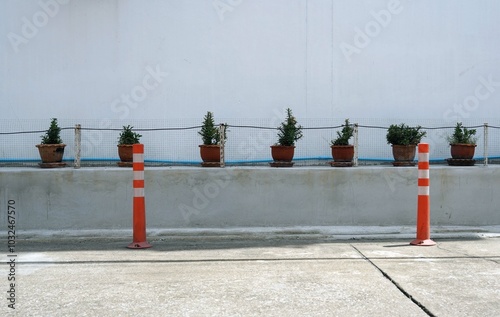 A lant pots arrange the elephants beside the building wall. photo