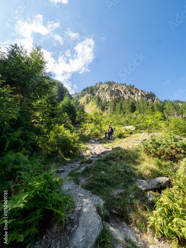 Mountain landscape in Valea Sambetei, Romania