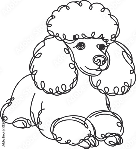 hand-drawn line art illustration of a Toy Poodle in a side view