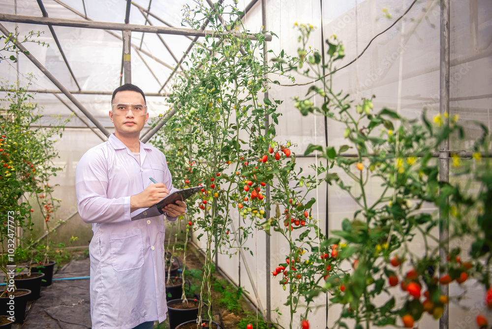 Male agricultural scientist recording plant growth in a greenhouse