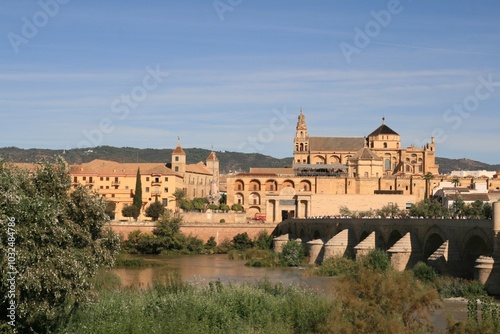 View of Cordoba 