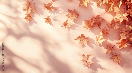 Autumn leaves scattered on a soft, pastel background.