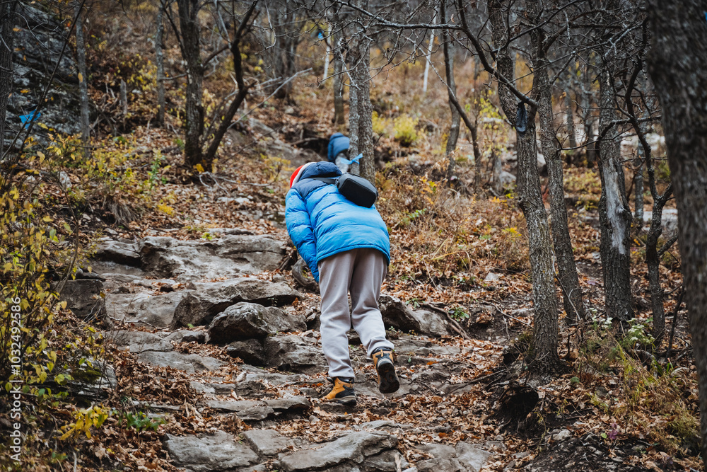 A solitary individual is making their way steadily up a rugged and uneven path that winds through a dense and beautiful wooded area, surrounded by towering trees and vibrant greenery A solitary individual is making their way steadily up a rugged and uneven path that winds through a dense and beautiful wooded area, surrounded by towering trees and vibrant greenery