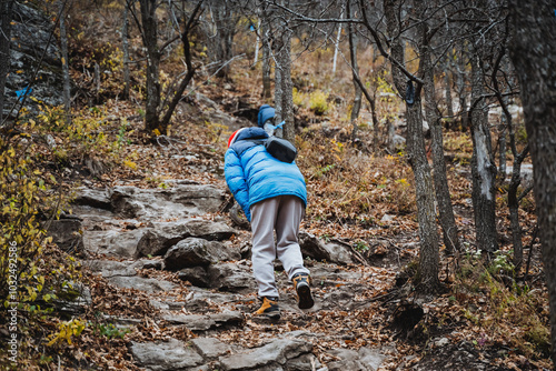 A solitary individual is making their way steadily up a rugged and uneven path that winds through a dense and beautiful wooded area, surrounded by towering trees and vibrant greenery