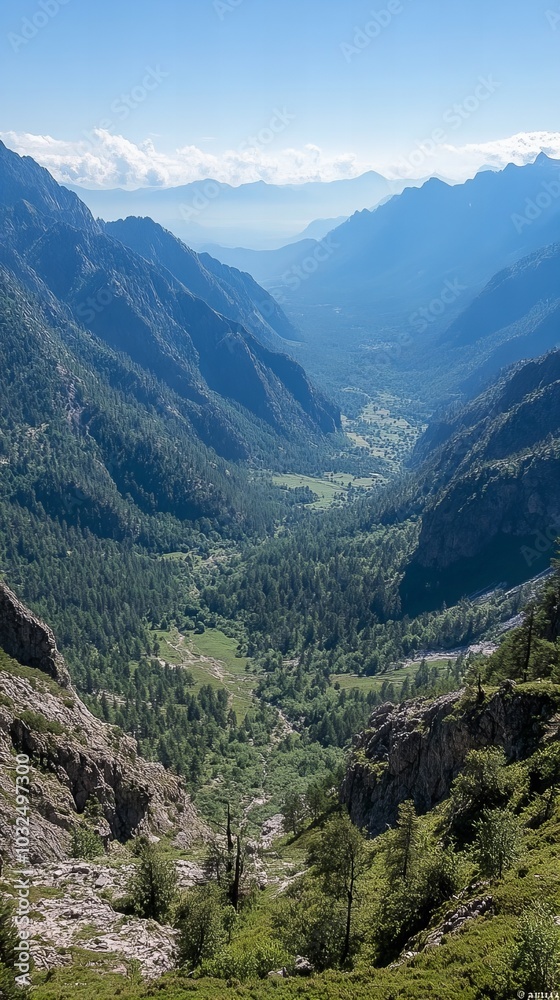 Obraz premium A stunning view of a deep valley surrounded by lush, green mountains under a bright blue sky.