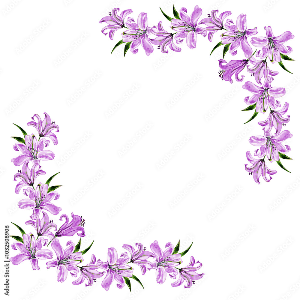 Handdrawn watercolor lily flowers frame isolated on white background. Handdrawn watercolor lily flowers frame isolated on white background.