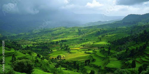 A lush green valley with a cloudy sky in the background. The valley is full of trees and grass, and the sky is overcast