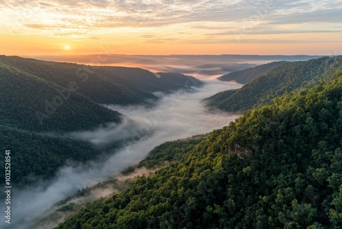 Mystical Sunrise Fog Blanketing Lush Valley - Aerial Nature Landscape