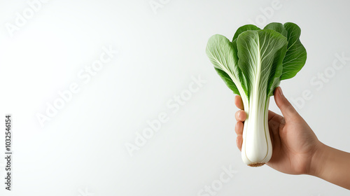 Fresh bok choy held in hand, white background photo