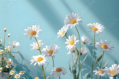 Bright and Cheerful Daisies Against a Soft Blue Background