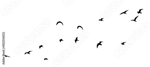 flock of birds silhouette isolated on transparent clear background	
