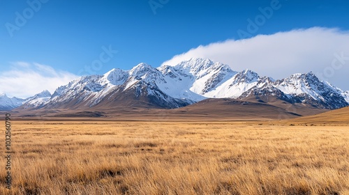 Majestic Snowy Mountains Meet Lush Tropical Jungles - A Stunning Contrast of Freezing Winds and Sun-Drenched Landscapes