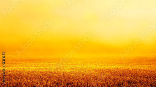 Golden Field Sunrise with Fog Warm Colors Countryside Nature Background