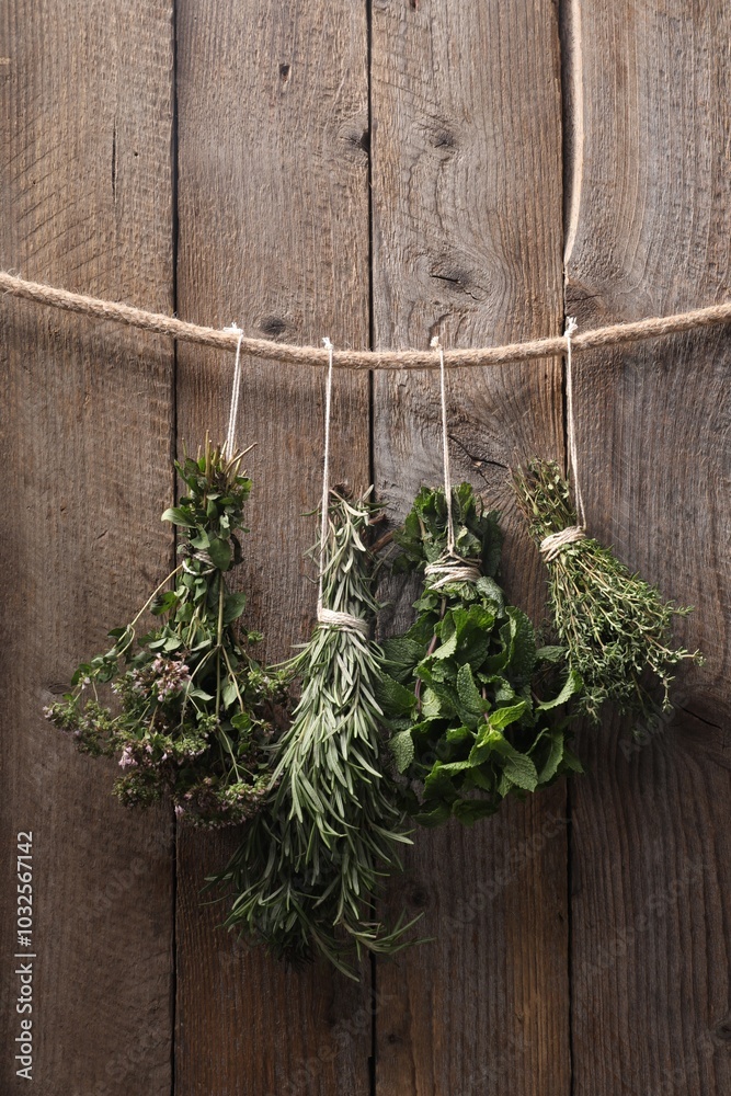 Bunches of different aromatic herbs hanging on rope near wooden wall Bunches of different aromatic herbs hanging on rope near wooden wall