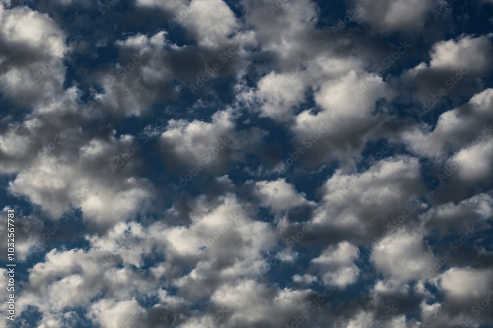 Obraz premium puffy altocumulus clouds on blue sky background