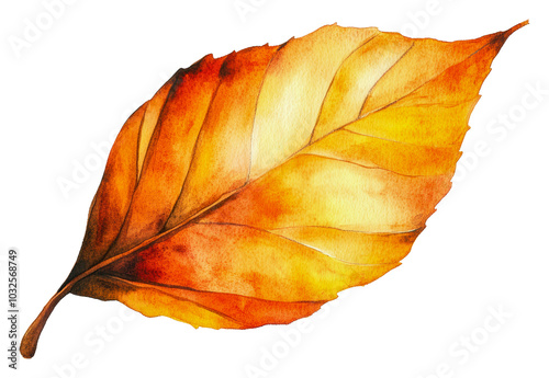 A vibrant autumn leaf with rich orange hues isolated on transparent background