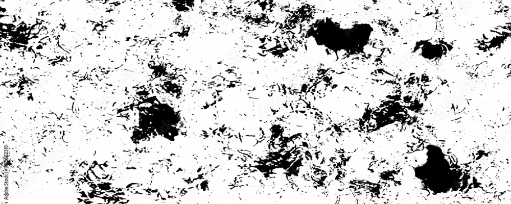 Artistic and natural black and white fleck texture. Texture floor concept surreal granite quarry stucco distress overlay with monochrome design. Abstract monochrome pattern dust messy background.
Artistic and natural black and white fleck texture. Texture floor concept surreal granite quarry stucco distress overlay with monochrome design. Abstract monochrome pattern dust messy background.