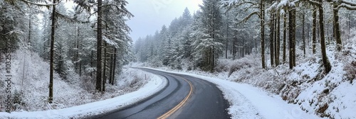 Curving winter road surrounded by snow covered trees in a tranquil forest set...