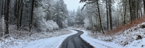 Curving winter road surrounded by snow covered trees in a tranquil forest set...