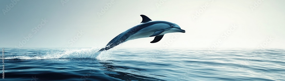 Fototapeta premium Dolphin leaping gracefully above ocean waves at sunset