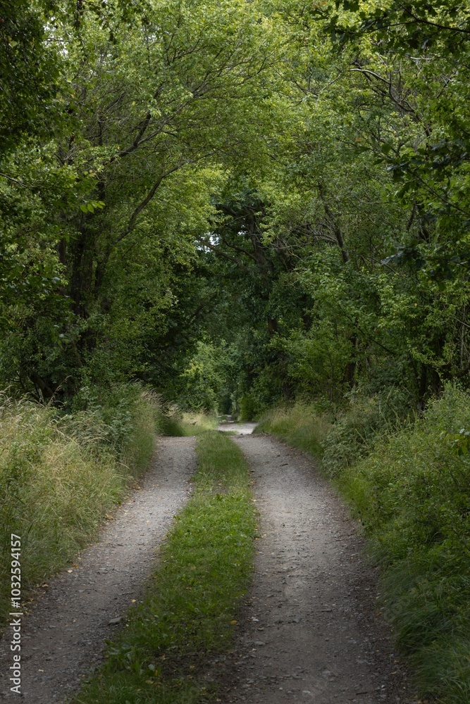 Countryroad at Marlow. East Germany. Mecklenburg Vorpommern. Countryroad at Marlow. East Germany. Mecklenburg Vorpommern.