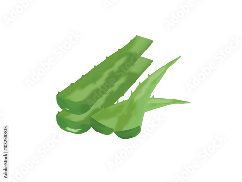 aloe vera plant