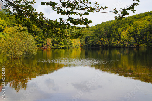 Reflejos en el agua de árboles en otoño