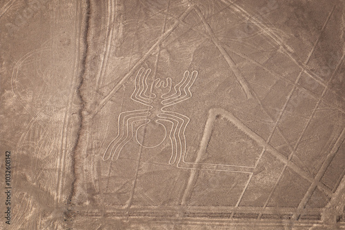 Spider Nazca inca lines Peru