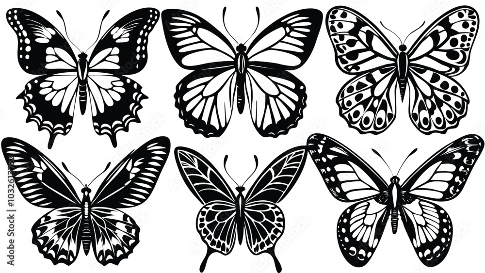 Fototapeta premium collection of butterflies
