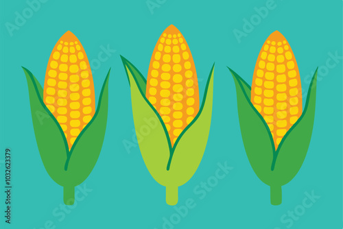 Set of corn hand drawn vector illustration