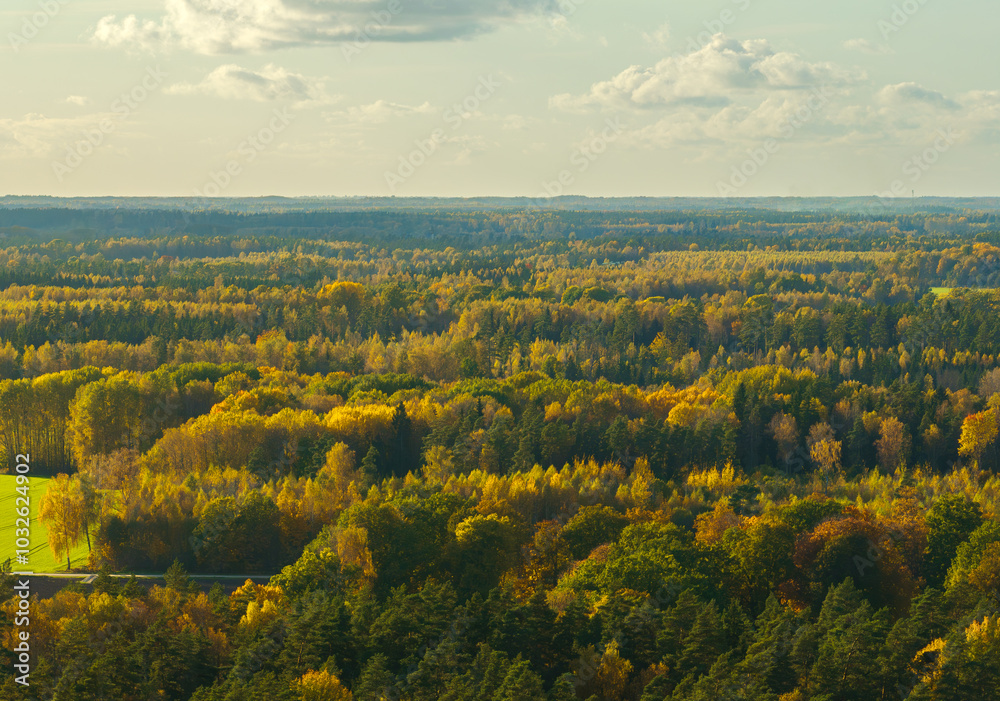 Fototapeta premium Vidzeme, autumn landscape (Nature of Latvia).