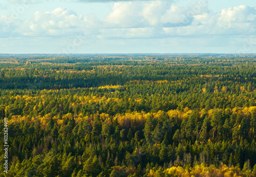 Vidzeme, autumn landscape (Nature of Latvia).