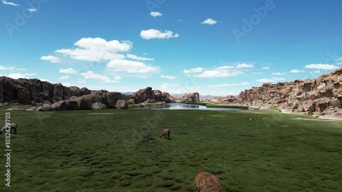 Scenery at Laguna Negra (black lagoon), Bolivia 