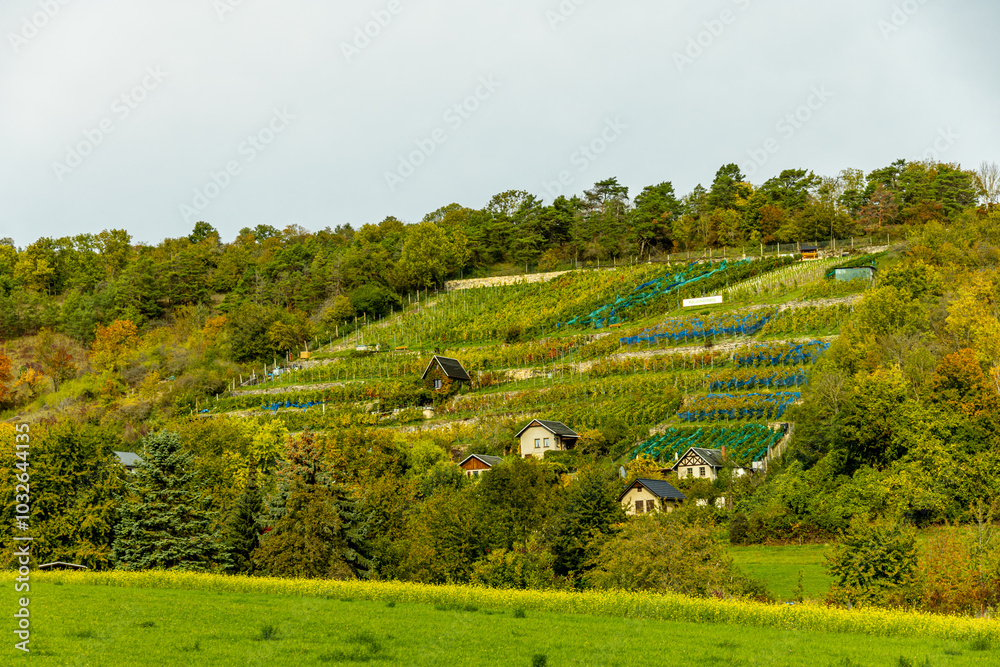 Fototapeta premium Eine farbenfrohe herbstliche Wanderung durch die wunderschöne Landschaft der Saale Horizontale bei Jena - Thüringen - Deutschland