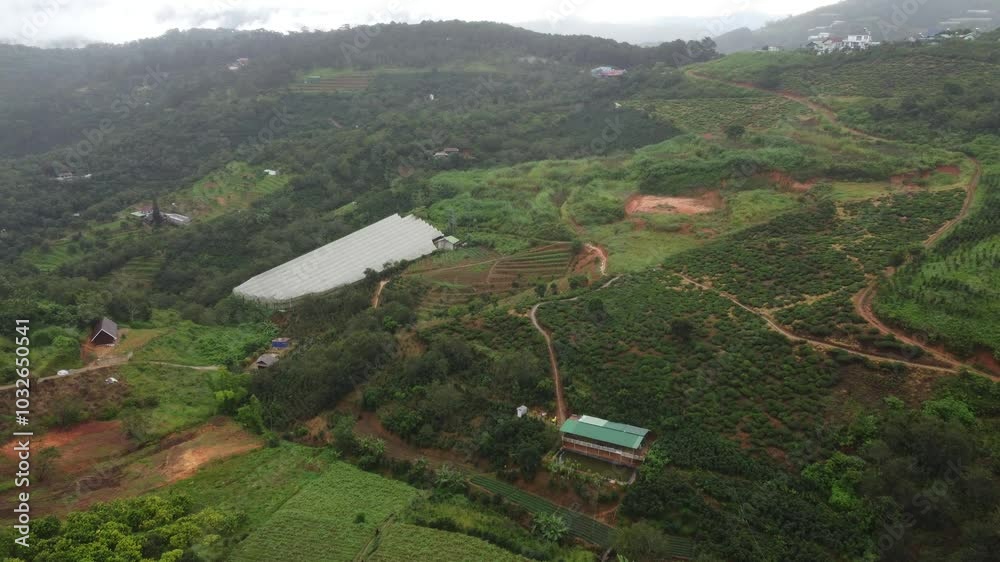 Đà lạt, dalat, da lat, cảnh núi hữu tình có mây, highland drone shots, cloundy Đà lạt, dalat, da lat, cảnh núi hữu tình có mây, highland drone shots, cloundy