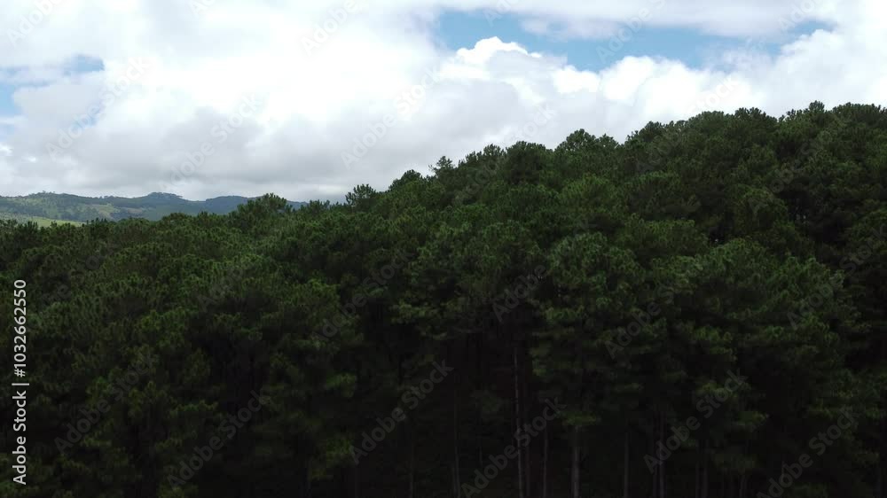 Đà lạt, dalat, da lat, cảnh núi hữu tình có mây, highland drone shots, cloundy Đà lạt, dalat, da lat, cảnh núi hữu tình có mây, highland drone shots, cloundy