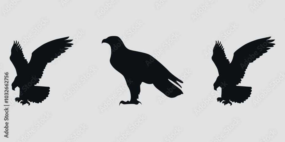 Obraz premium Black silhouettes of eagles. Vector on gray background