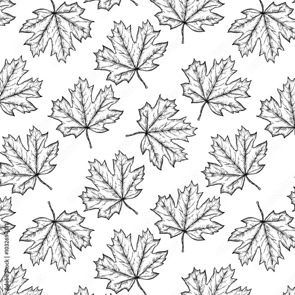 Line art graphic pattern with leaves of maple. Black and white background. Line art graphic pattern with leaves of maple. Black and white background.