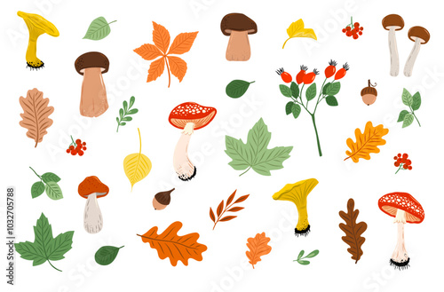 Autumn collection - flower, berry, mushroom, briar, leaves, acorn, pumpkin, rowanberry, Yellow, Green, White, Brown. Perfect for seasonal greetings and Thanksgiving Day