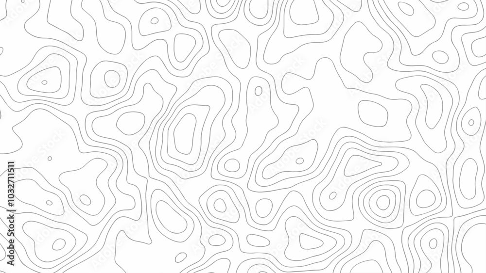 Topographic contour map. Topographic contour map.