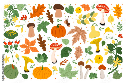 Autumn collection - flower, berry, mushroom, briar, leaves, acorn, pumpkin, rowanberry, Yellow, Green, White, Brown. Perfect for seasonal greetings and Thanksgiving Day