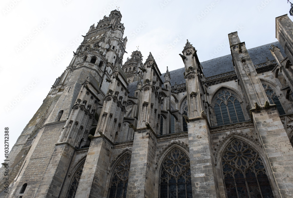 Fototapeta premium Gothic ornaments. Shot on several Gothic monuments in France. (Churchs and buildings)